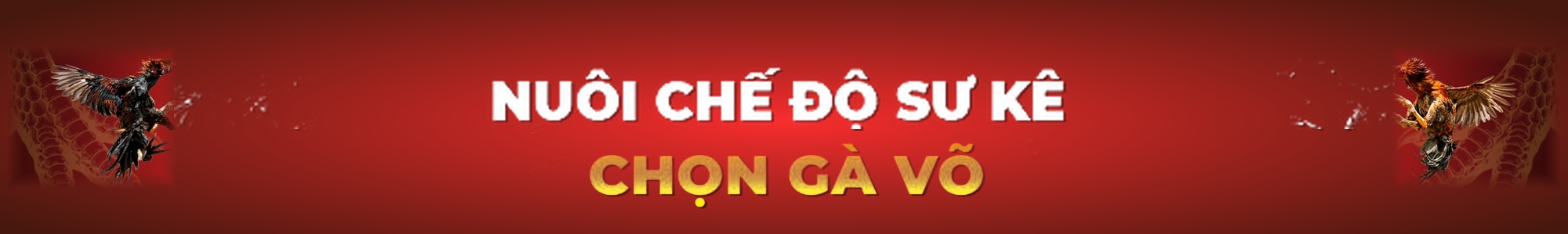 Gà Võ - Nuôi Chế Độ Sư Kê, Chọn Gà Võ