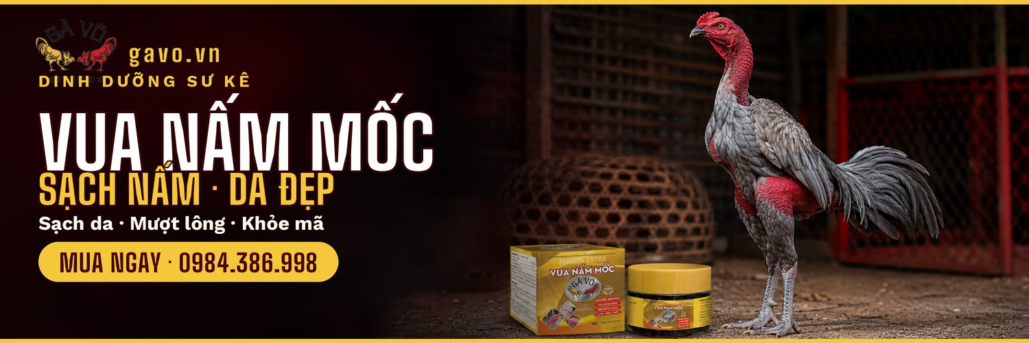 Vua Nấm Mốc - Sạch nấm da đẹp (30/06/2026)