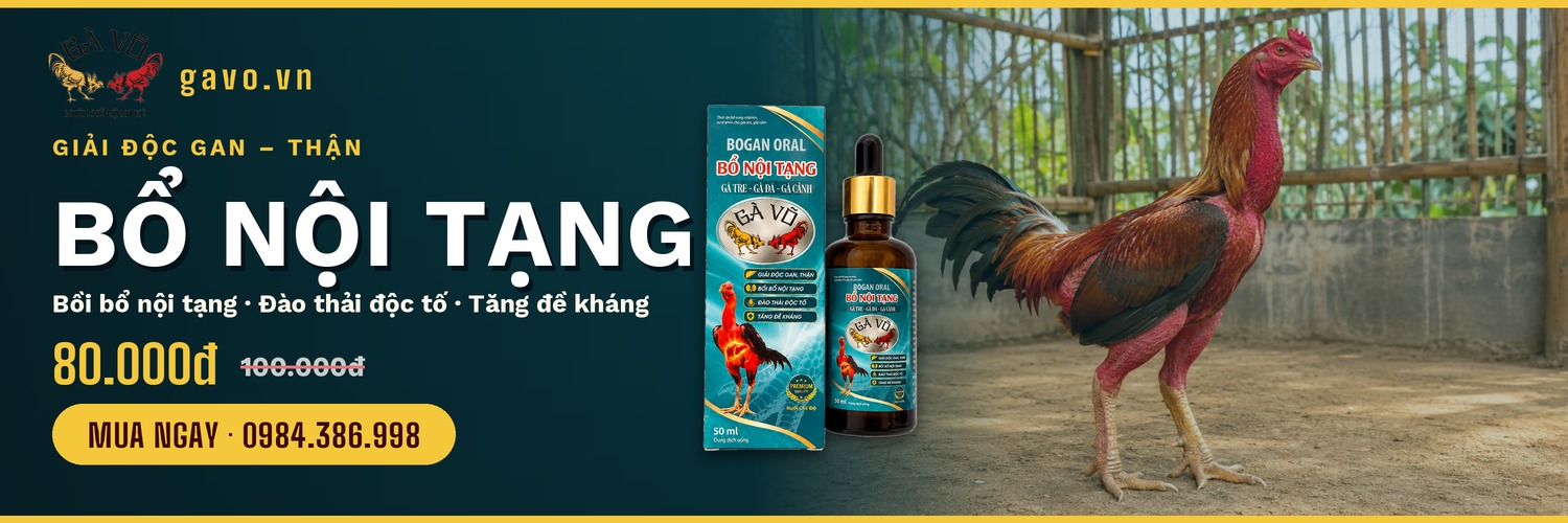 Banner Bổ Nội Tạng Gà Võ - Giải Độc Gan Thận