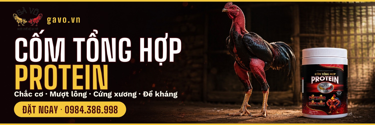 Cốm Tổng Hợp Protein - Dinh dưỡng sư kê (15/06/2026)
