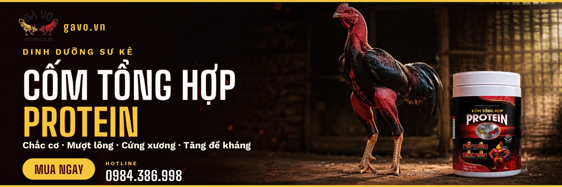 Cốm Tổng Hợp Protein - Dinh dưỡng sư kê (15/06/2026)