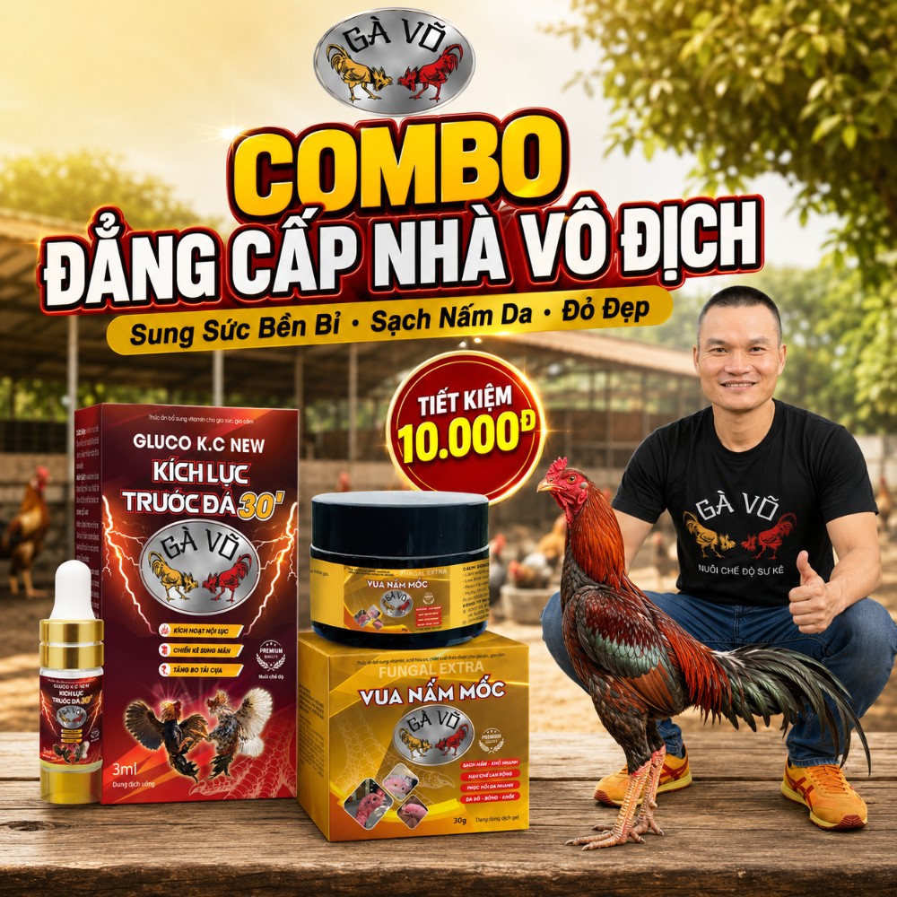 Combo Đẳng Cấp Nhà Vô Địch Gà Võ - Kích Lực và Vua Nấm Mốc cùng Anh Võ