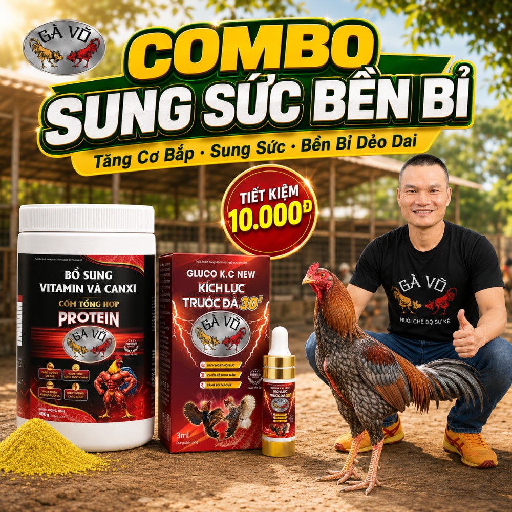 Combo Sung Sức Bền Bỉ Gà Võ - Cốm Tổng Hợp Protein và Kích Lực cùng Anh Võ