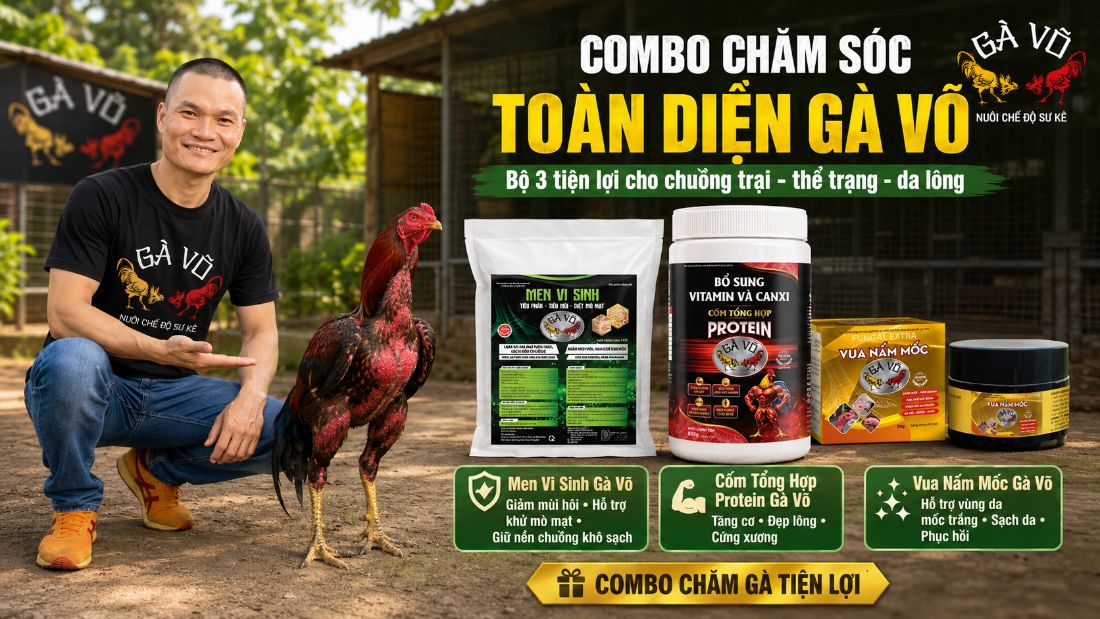 hệ sản phẩm chăm sóc gà nòi toàn diện Gà Võ - combo chăm sóc toàn diện