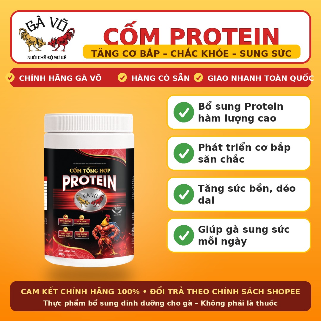 công dụng cốm protein cho gà - chắc cơ bắp, tăng sức bền, kích lông